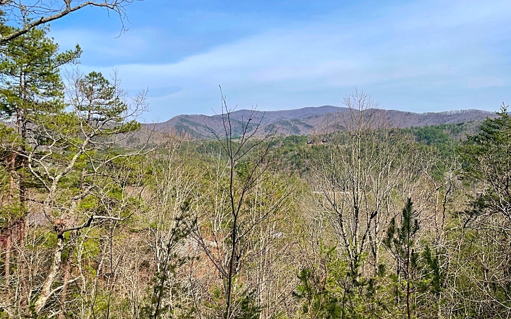 146 Rosiey Lane Blue Ridge, GA 30513 - Photo 2 of 4 Additional View