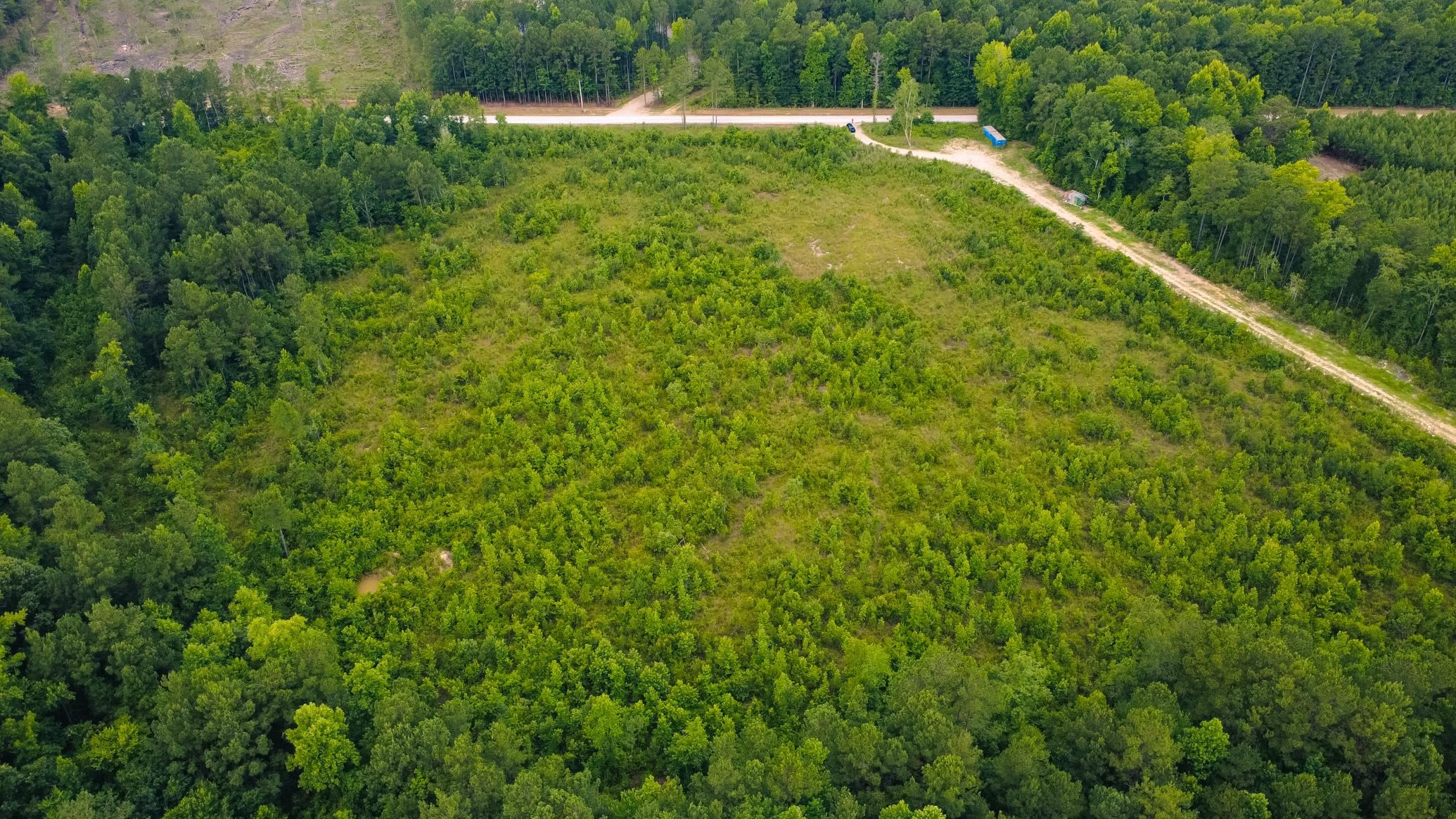 Lot C Lot C Friers Bay Road Loris, SC 29569 - Photo 2 of 7