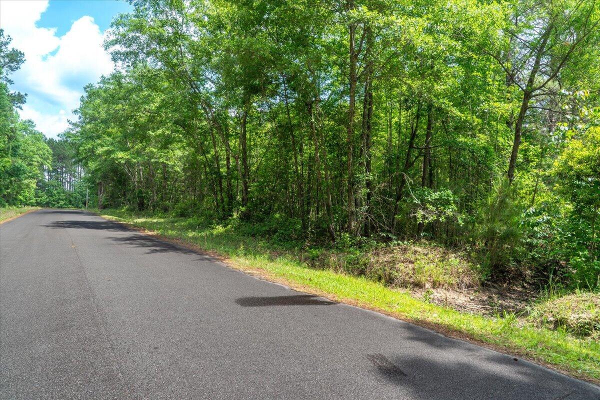 0 Deneaux Road Rowesville, SC 29133 - Photo 3 of 43 02-Deneaux-2