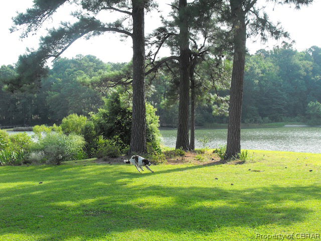 369 Hopedale Farm Road Reedville, VA 22539 - Photo 9 of 26