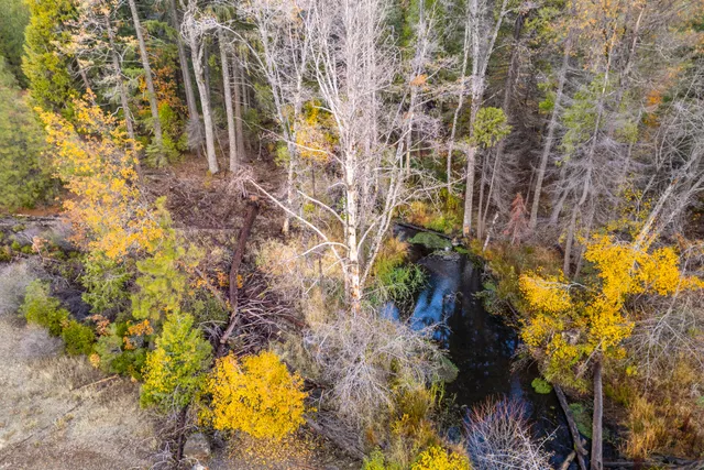 $118,000 | Lot 8 Princess Pine Place, Shingletown, CA 96088