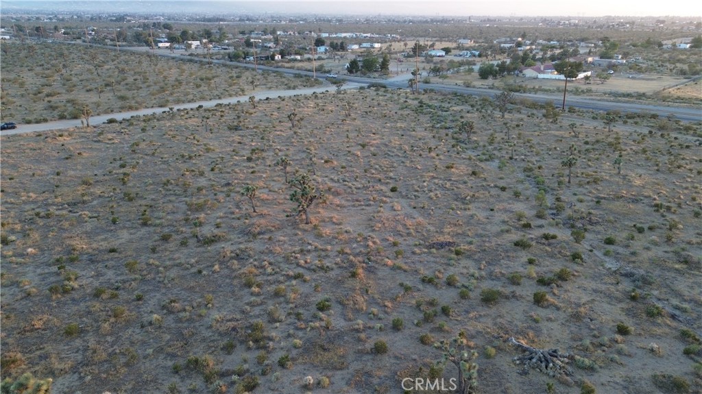 3098 La Mesa Road Phelan, CA 92371 - Photo 6 of 8 a view of a dry yard with trees