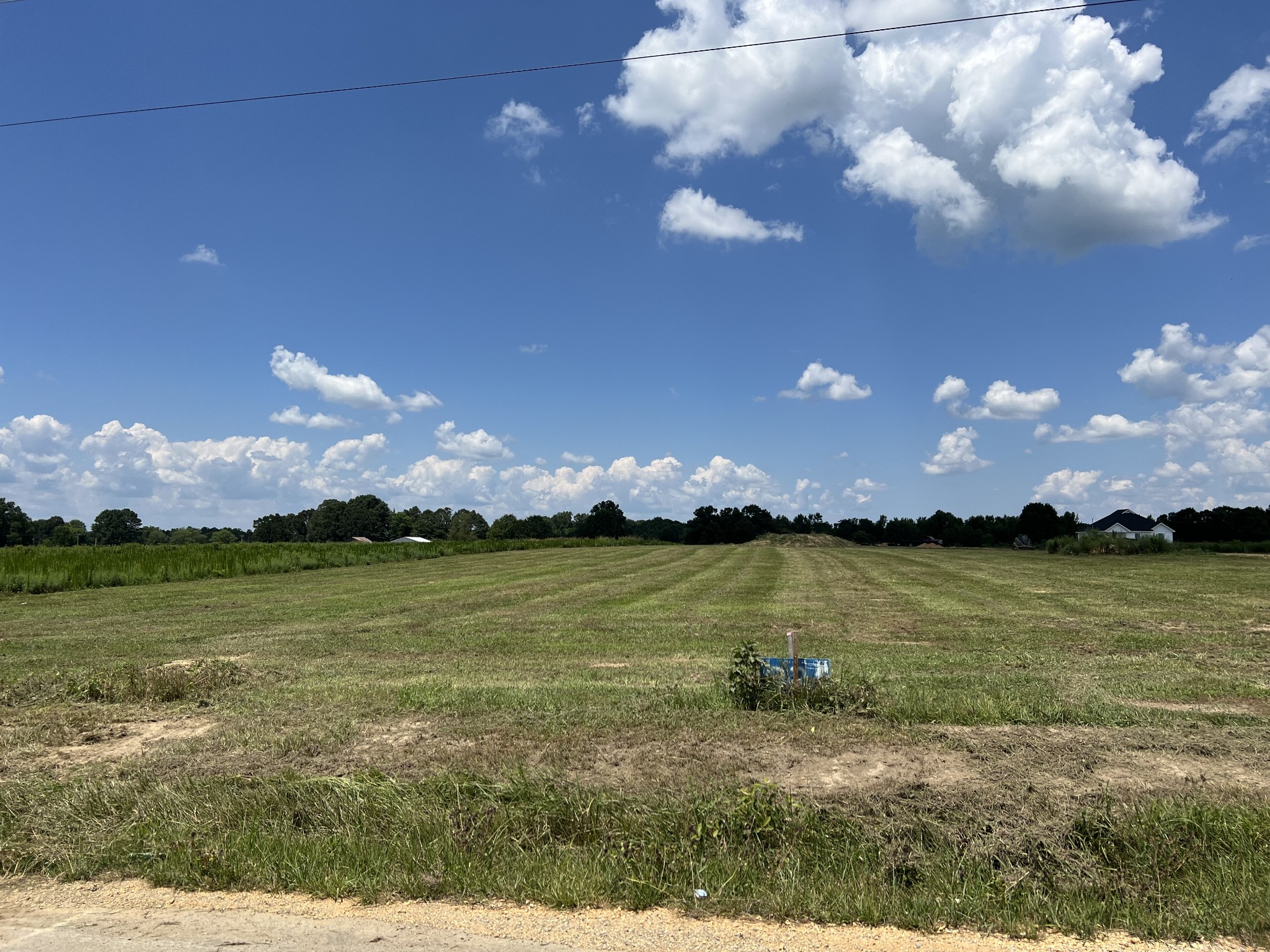 231 Dugout Road Summertown, TN 38483 - Photo 2 of 9 Another view from the road