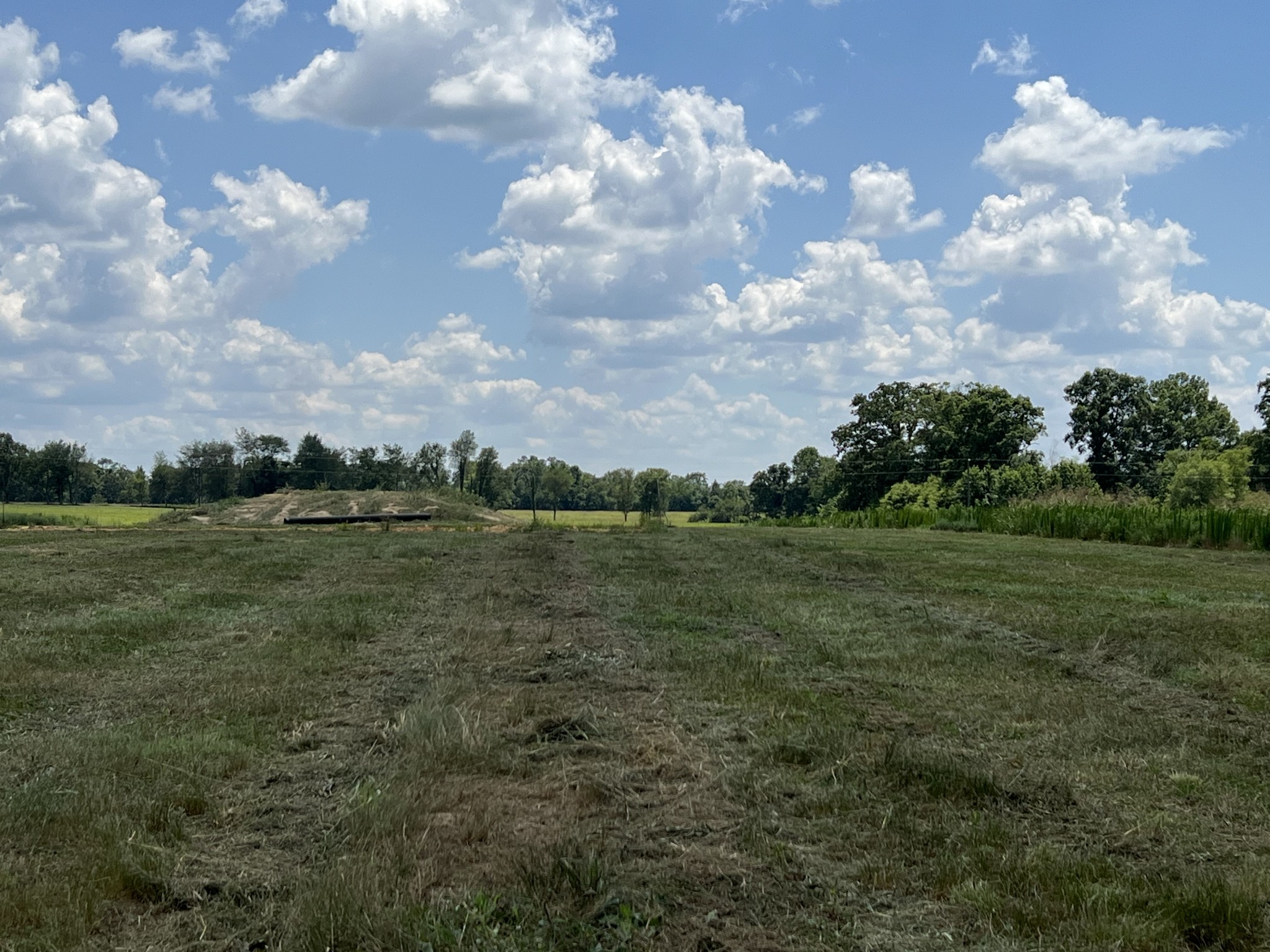 231 Dugout Road Summertown, TN 38483 - Photo 5 of 9 View from the back of the property looking towards the road.