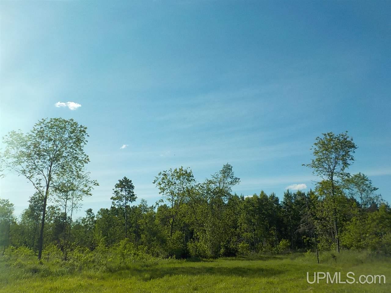 37.25-ac Mihalisko Road Amasa, MI 49920 - Photo 3 of 8