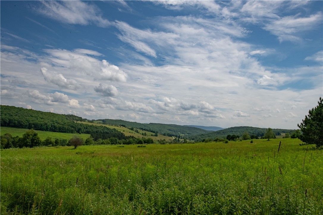 2690 Freer Hollow Road Franklin, NY 13856 - Photo 2 of 35