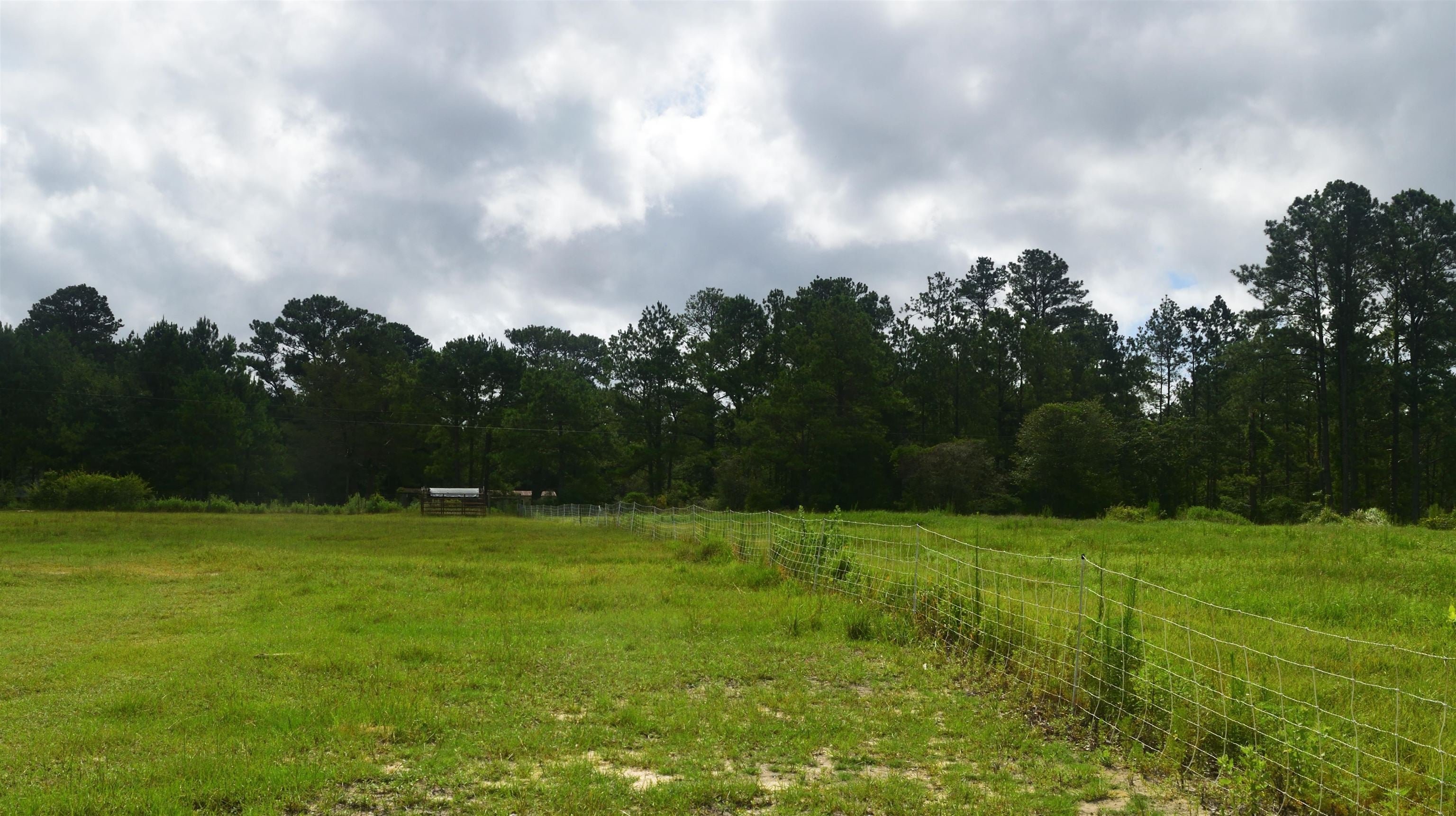 22535 Rosin Ridge Road Red Level, AL 36474 - Photo 42 of 46 Gallery Image 42
