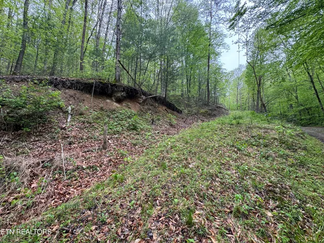 $90,000 | 376 Summer House Hollow Road, Del Rio, TN 37727