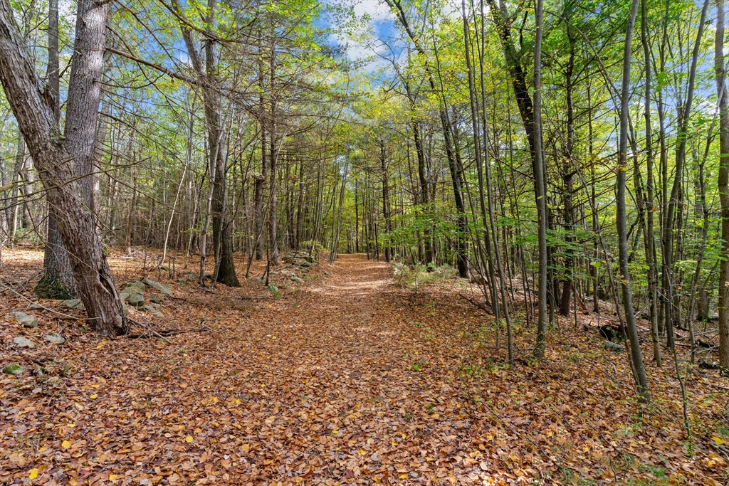 7 White Avenue Douglas, MA 01516 - Photo 21 of 23