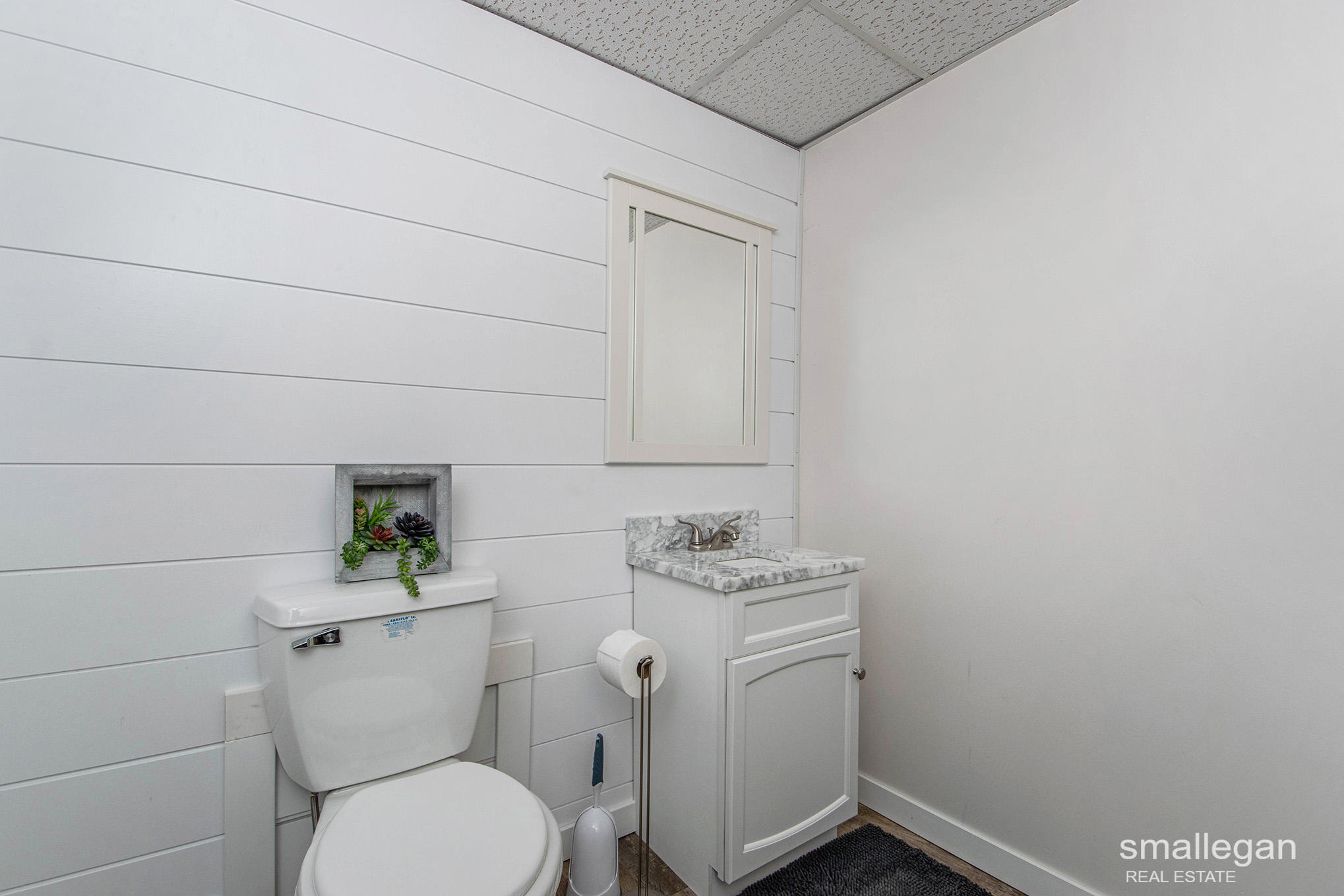 4933 South Monroe Road Greenville, MI 48838 - Photo 14 of 24 DSC_5815