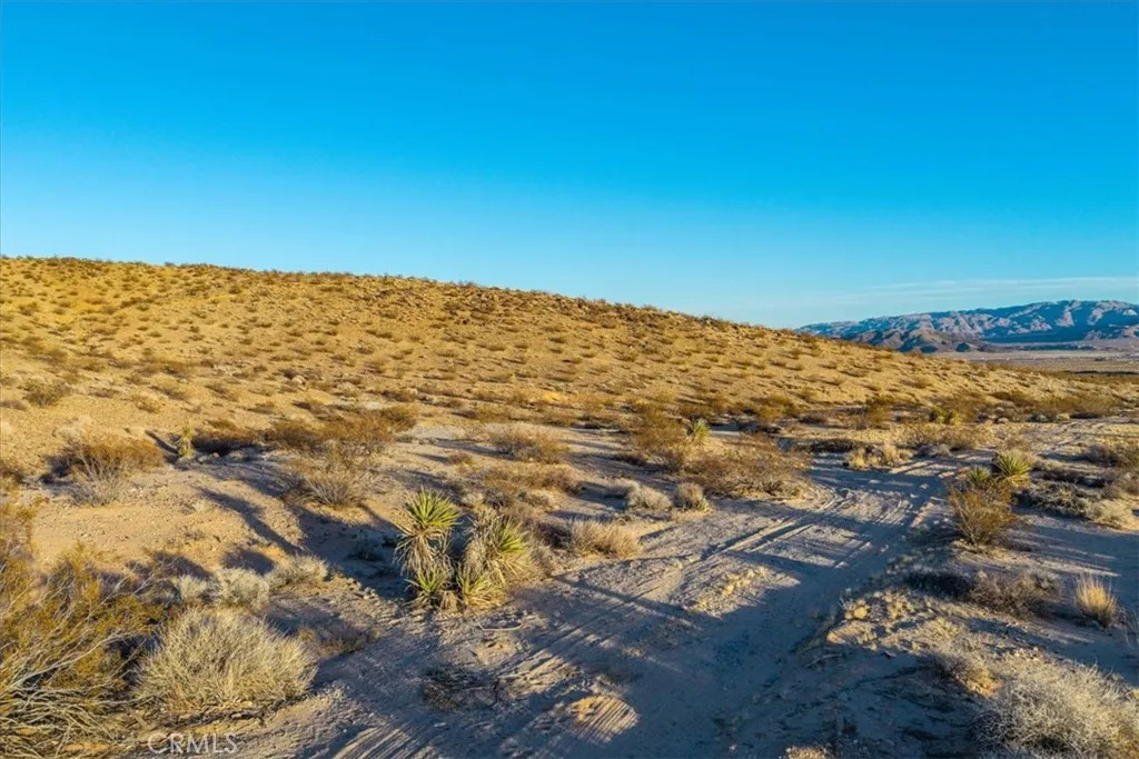 3025 Flamingo Joshua Tree, CA 92252 - Photo 11 of 29