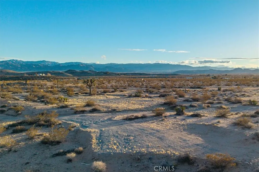3025 Flamingo Joshua Tree, CA 92252 - Photo 13 of 29