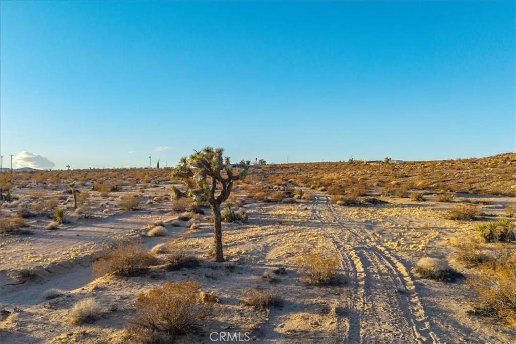 3025 Flamingo Joshua Tree, CA 92252 - Photo 21 of 29