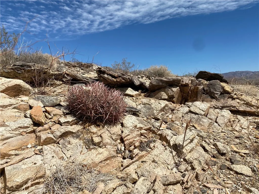 3025 Flamingo Joshua Tree, CA 92252 - Photo 4 of 29