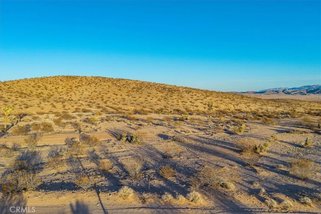 3025 Flamingo Joshua Tree, CA 92252 - Photo 6 of 29