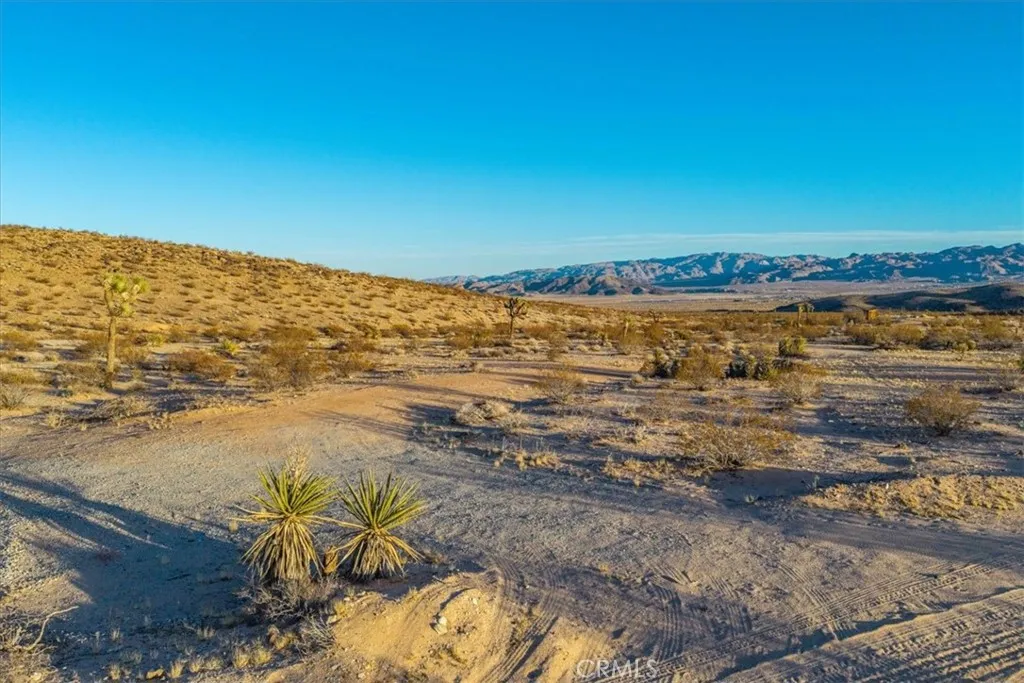 3025 Flamingo Joshua Tree, CA 92252 - Photo 7 of 29
