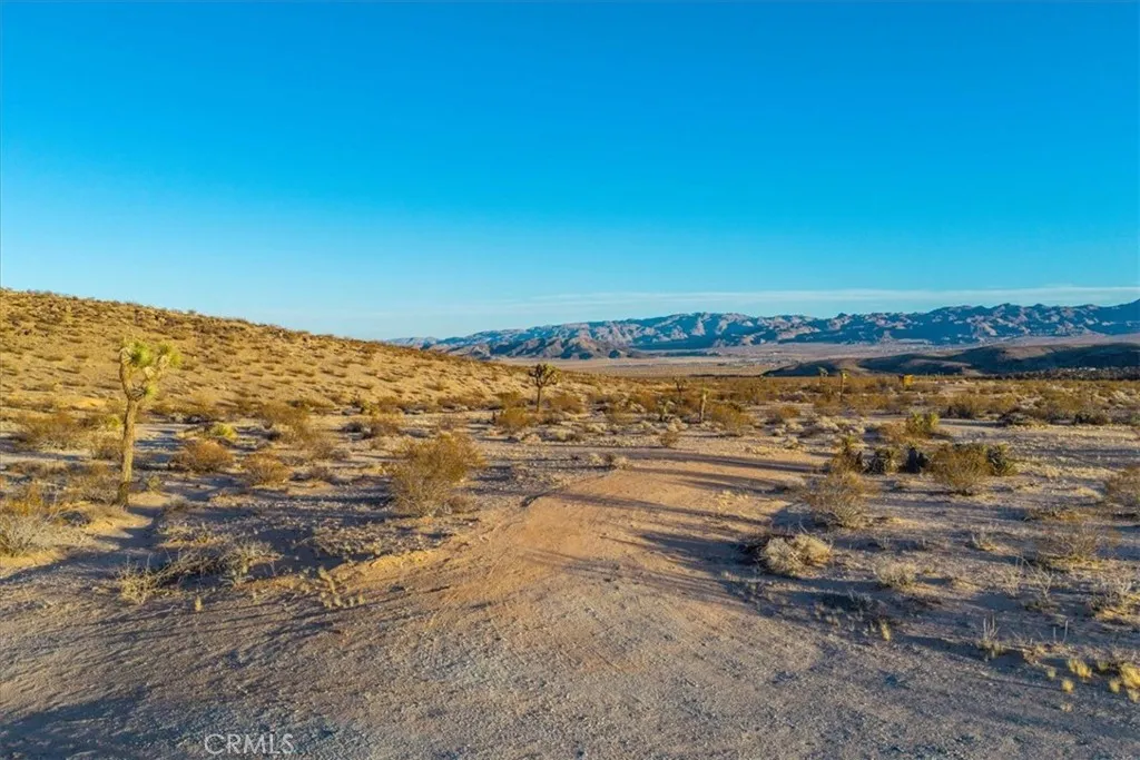3025 Flamingo Joshua Tree, CA 92252 - Photo 9 of 29