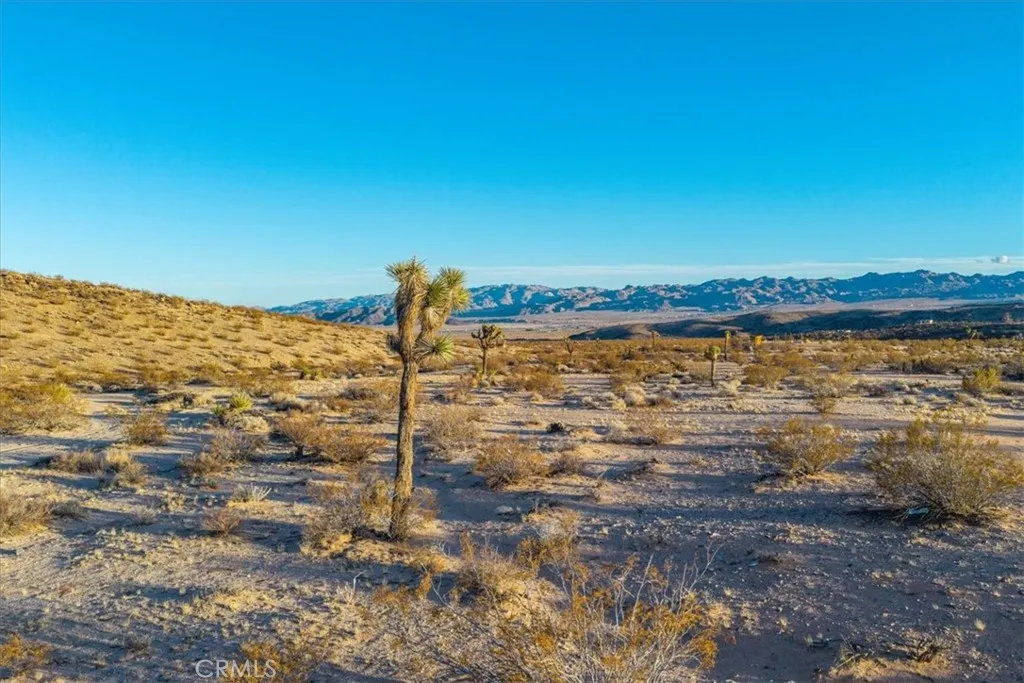 3025 Flamingo Joshua Tree, CA 92252 - Photo 10 of 29