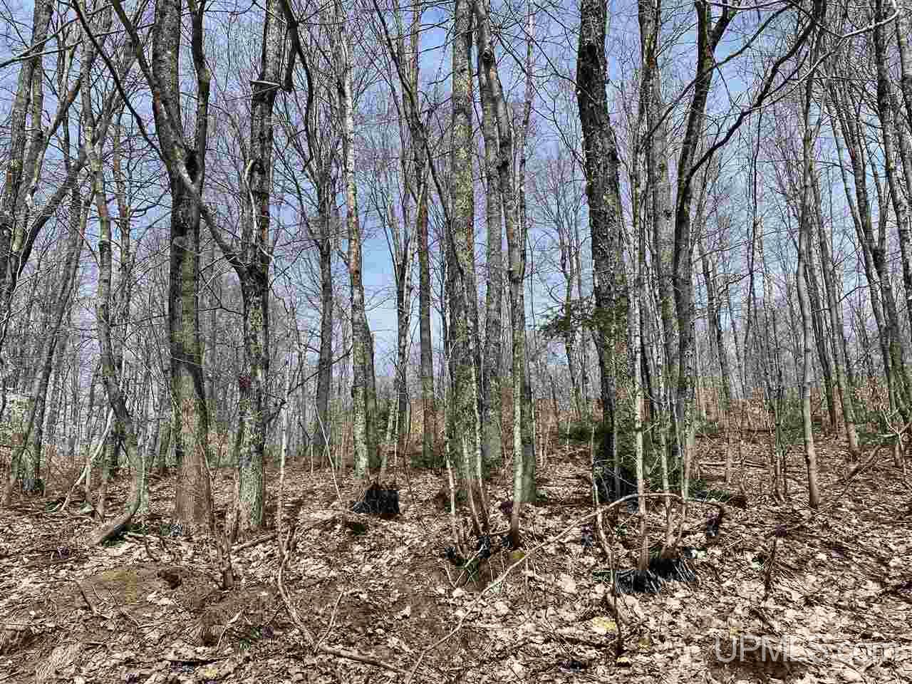 0 Old Seney Road Seney, MI 49883 - Photo 27 of 31