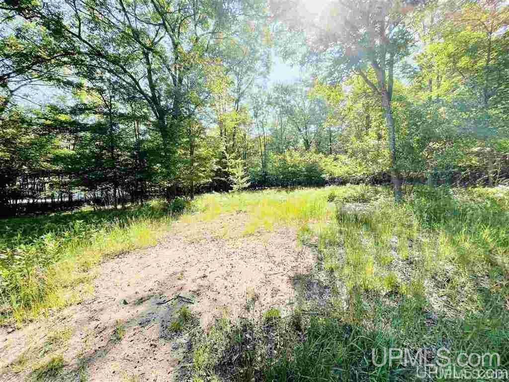 57 Tipperary Road Gladstone, MI 49837 - Photo 18 of 20