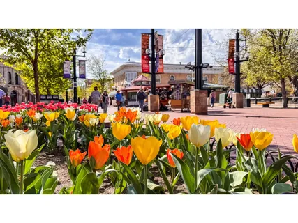 $3,650,000 | 2125 11th Street, Boulder, CO 80302