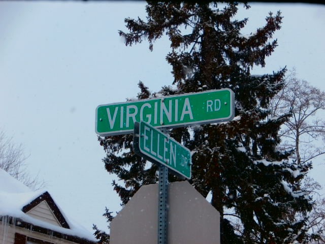 34 Virginia Road Cheektowaga, NY 14225 - Photo 17 of 26