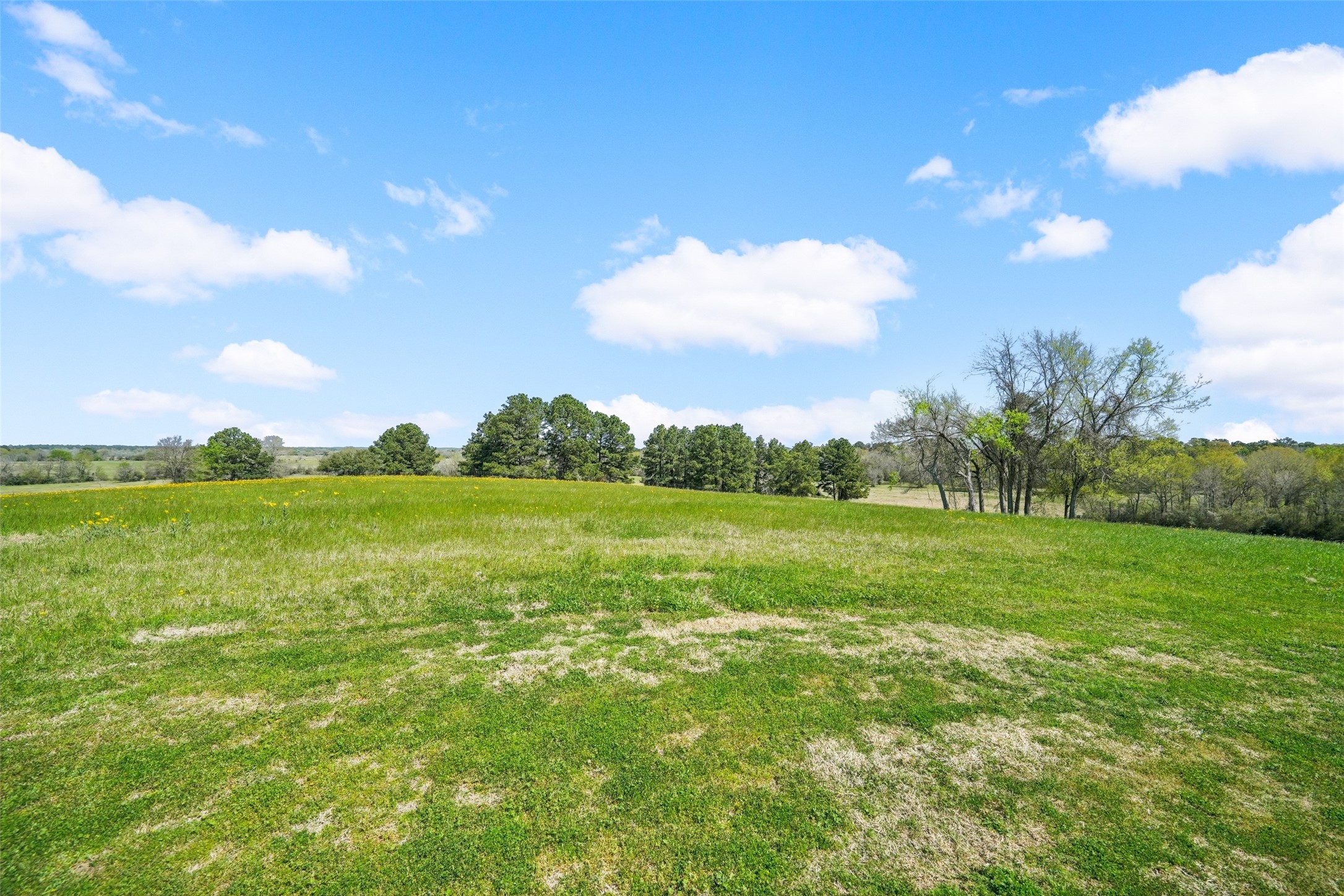 460 Bishop Road Huntsville, TX 77320 - Photo 49 of 50 A spacious and scenic property surrounded by lush greenery, offering excellent curb appeal, ample outdoor space, and a serene setting ideal for relaxation or entertaining.