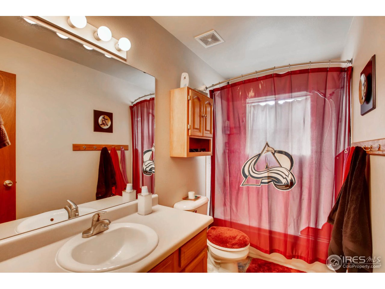 7854 3rd Street Wellington, CO 80549 - Photo 15 of 28