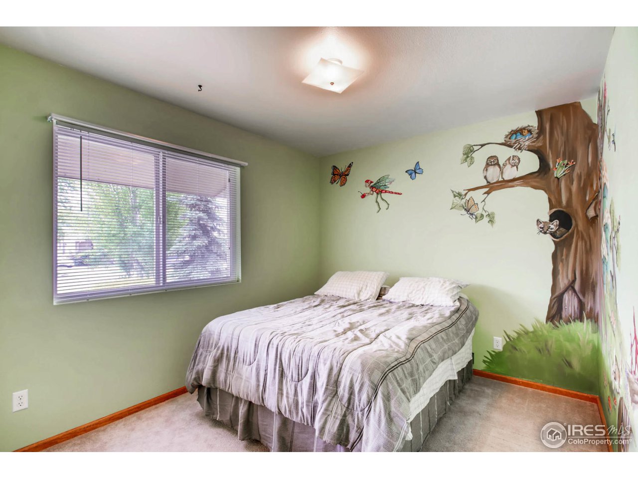 7854 3rd Street Wellington, CO 80549 - Photo 16 of 28