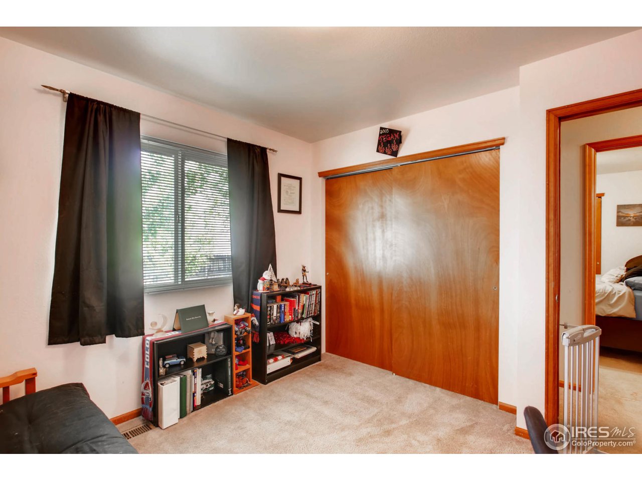 7854 3rd Street Wellington, CO 80549 - Photo 19 of 28