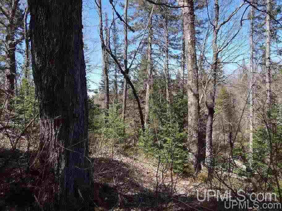 Tbd Celotex Road Michigamme, MI 49946 - Photo 19 of 25