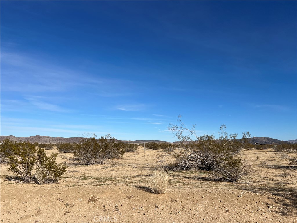 4625 Arizona Joshua Tree Ca  