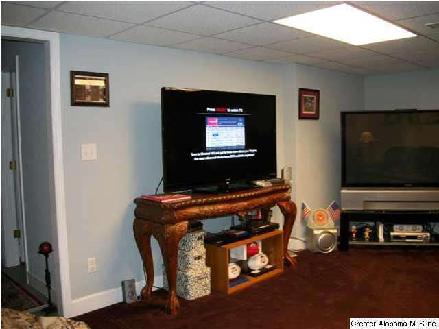 263 Meadows Drive Springville, AL 35146 - Photo 23 of 29 Gallery Image 23