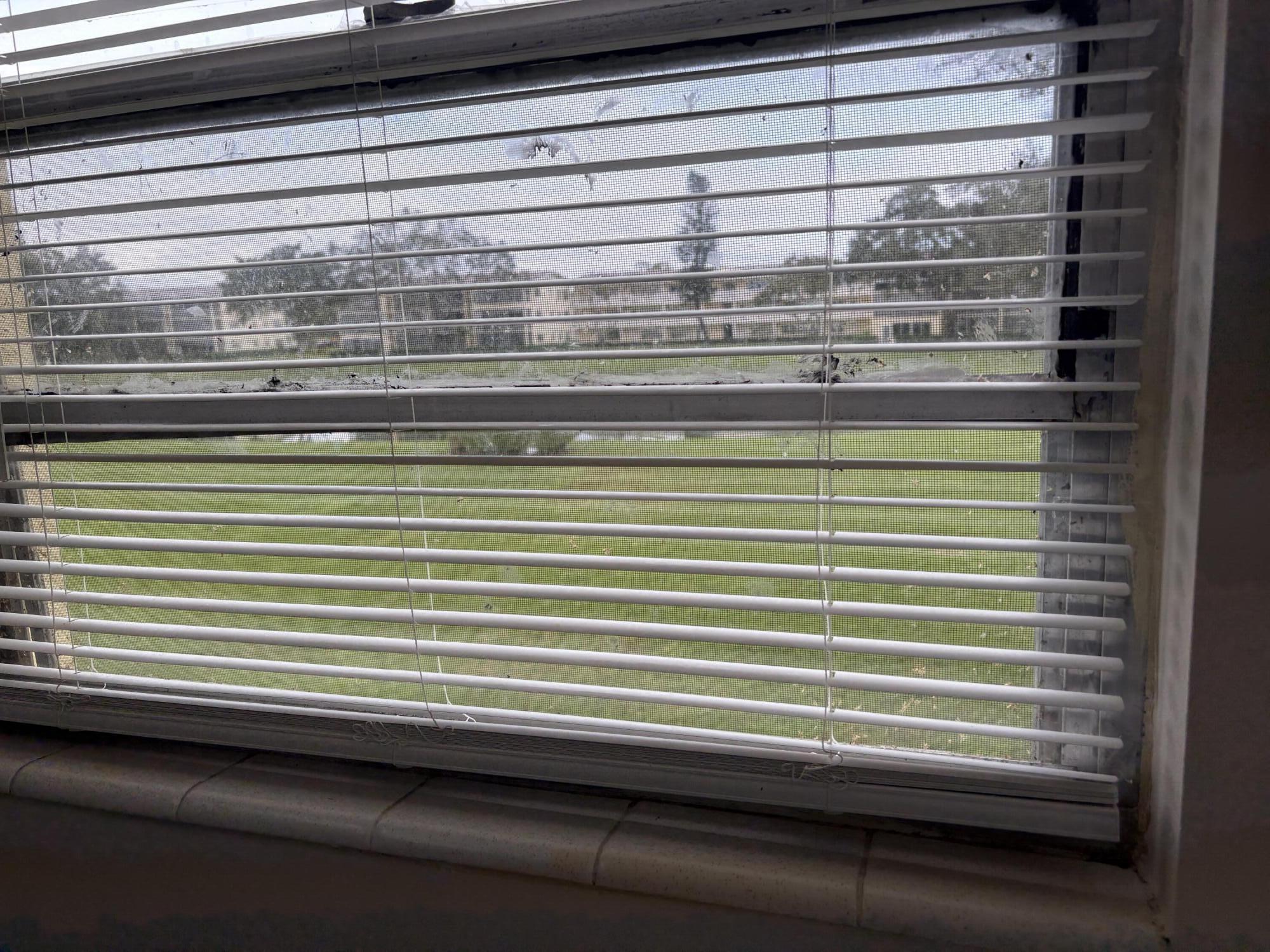 186 Dorset East Boca Raton, FL 33434 - Photo 5 of 23 IMG_0317