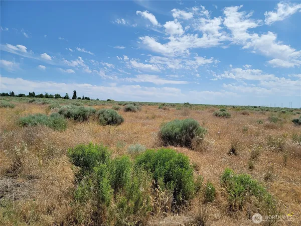 a view of a lake with houses in the back