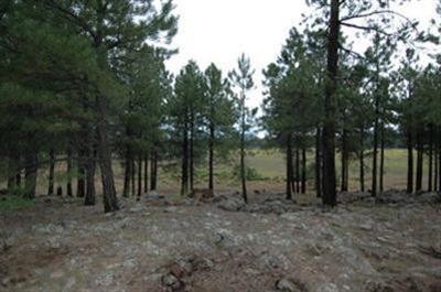 805 West Naval Observatory Road Flagstaff, AZ 86005 - Photo 1 of 19 Primary Photo