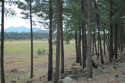 805 West Naval Observatory Road Flagstaff, AZ 86005 - Photo 17 of 19 Additional Photo