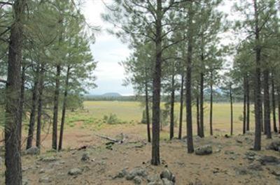 805 West Naval Observatory Road Flagstaff, AZ 86005 - Photo 3 of 19 Additional Photo