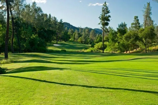 a view of a golf course with a trees