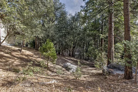 a big yard with lots of green space