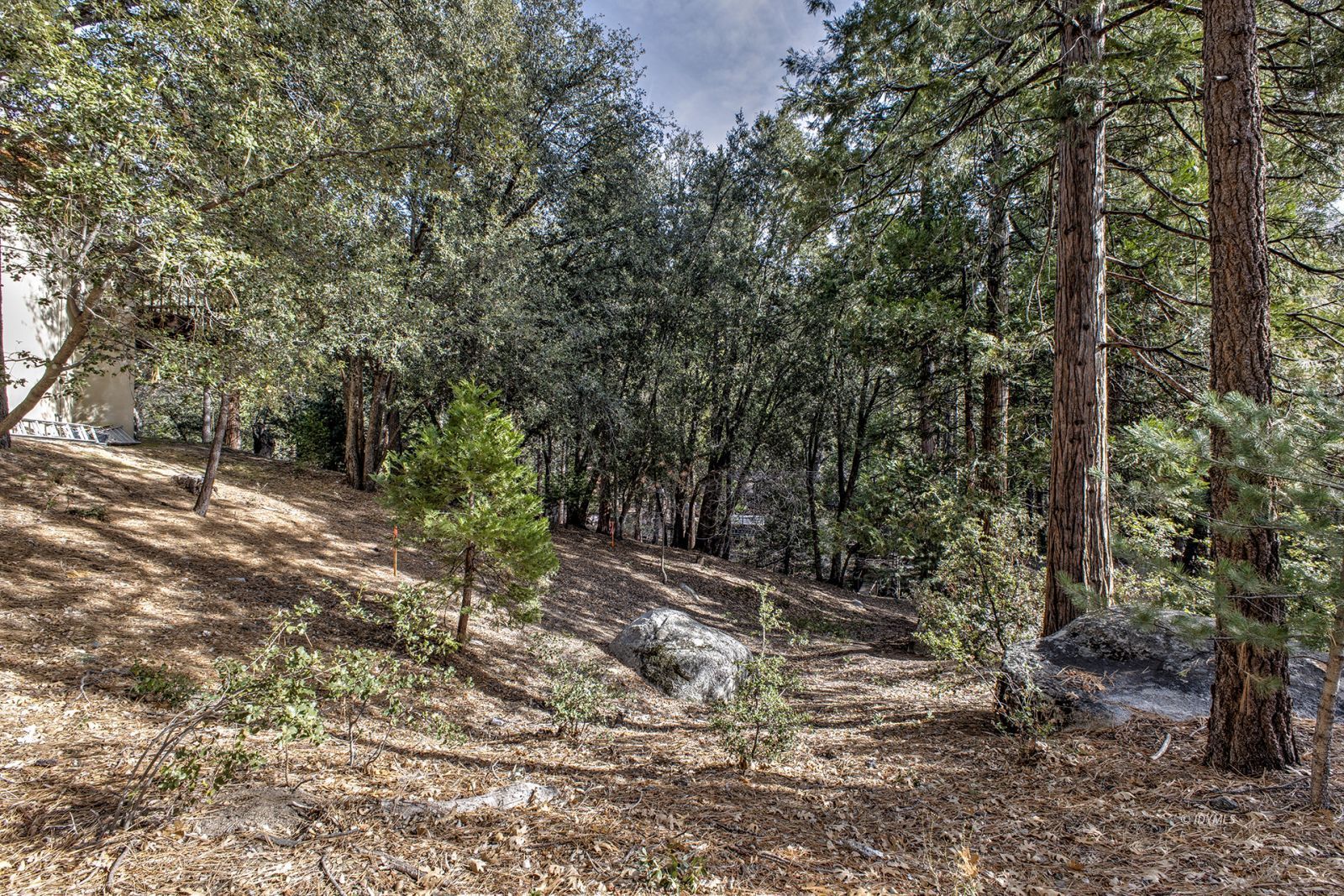 Pine Crest Avenue Idyllwild, CA 92549 - Photo 1 of 1 a big yard with lots of green space