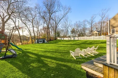 a view of a park with large trees