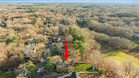 a view of a yard with flower plants