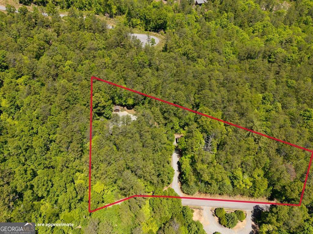 259 The Woods Road, Unit 33 Mineral Bluff, GA 30559 - Photo 51 of 54