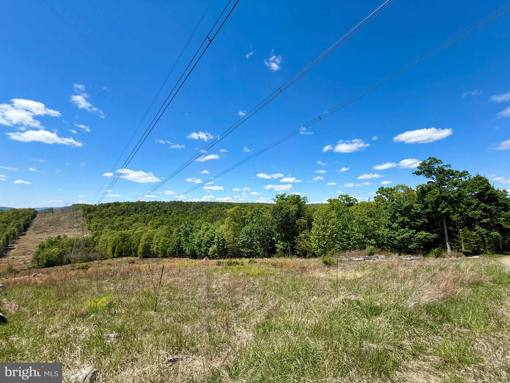 115 River Ridge Yellow Spring, WV 26865 - Photo 8 of 25 Expansive green landscape under blue skies.