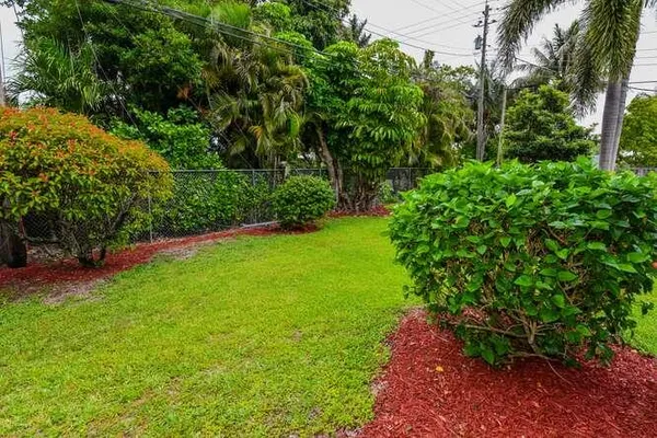 a view of a yard with plants and large trees