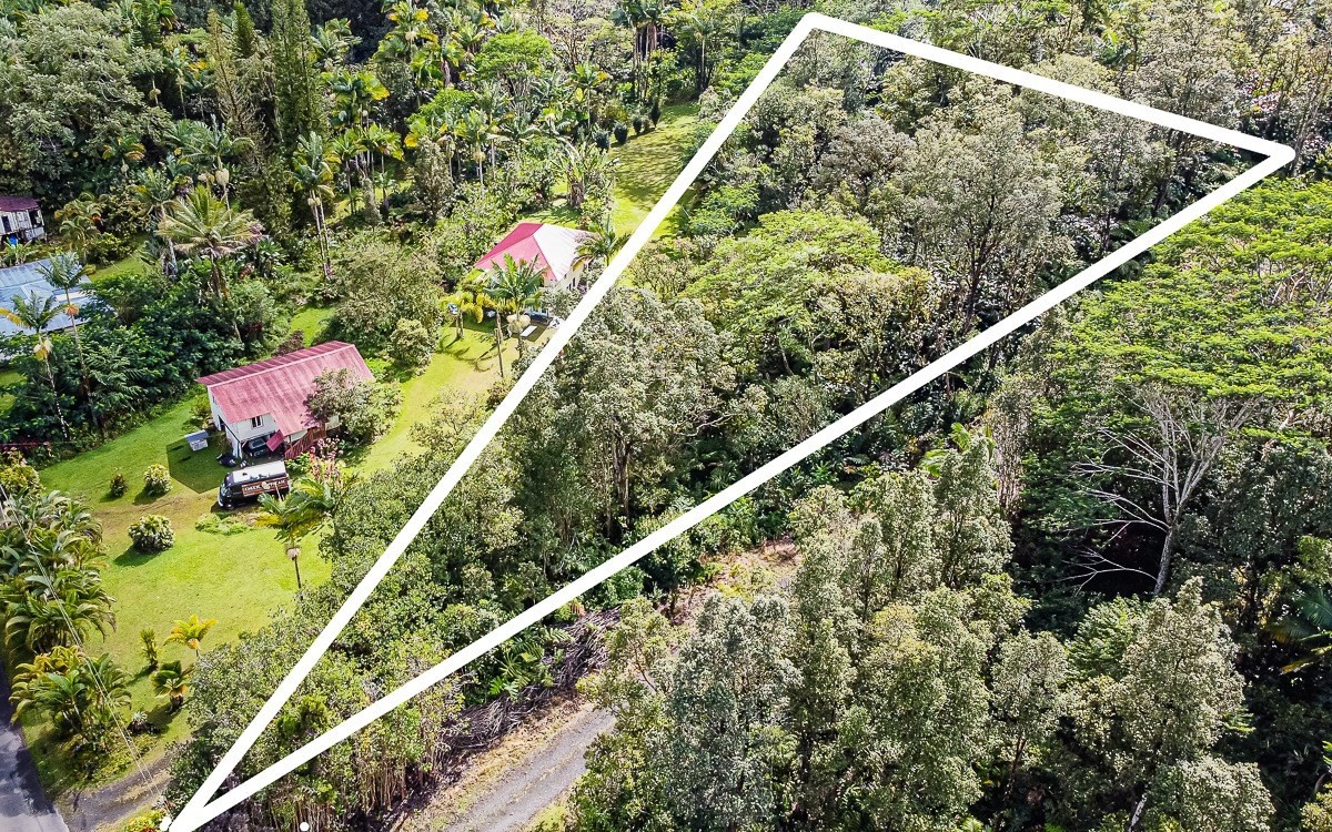 a picture of flowers