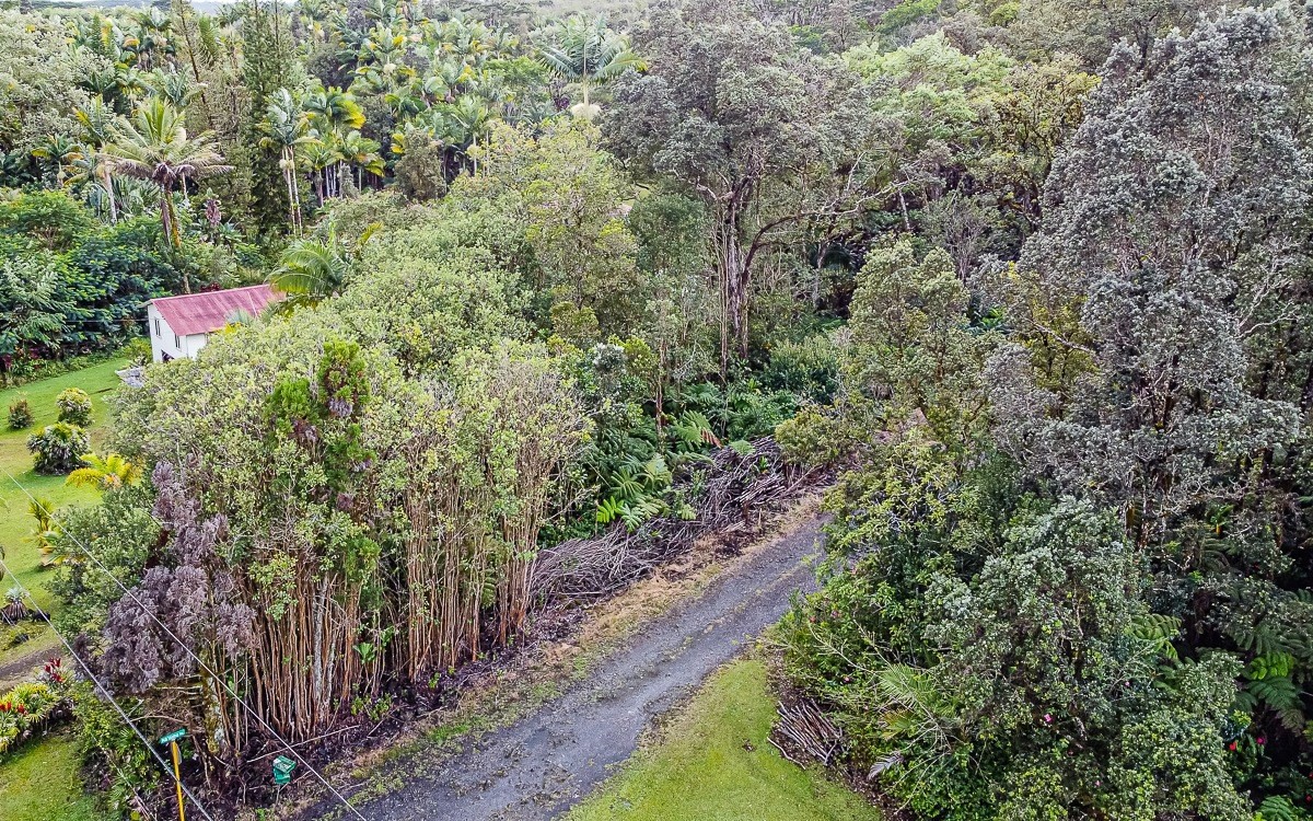 Enos Rd Mountain View Mountain View, HI 96771 - Photo 4 of 4 a picture of trees