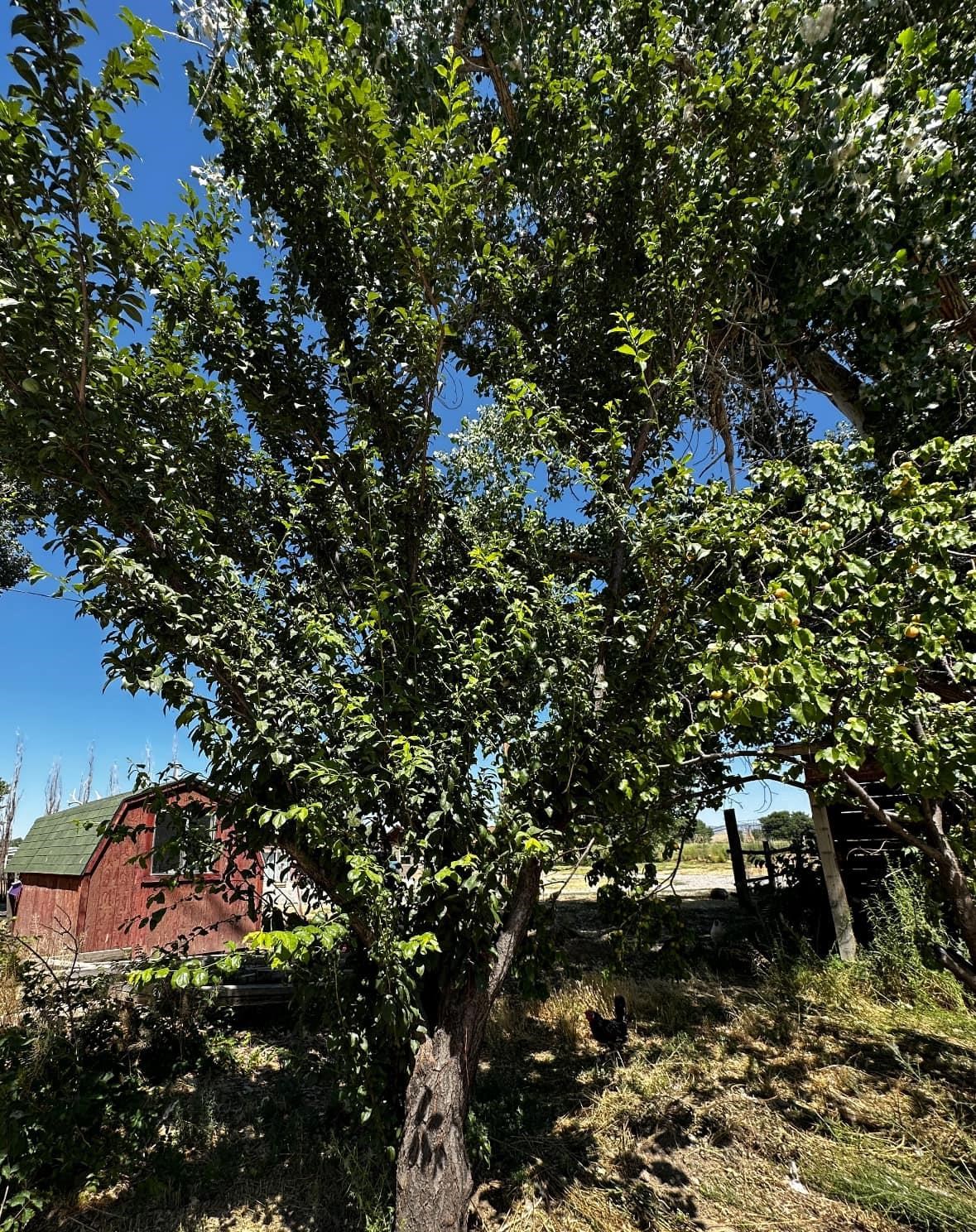 628 S Road Mack, CO 81525 - Photo 16 of 41