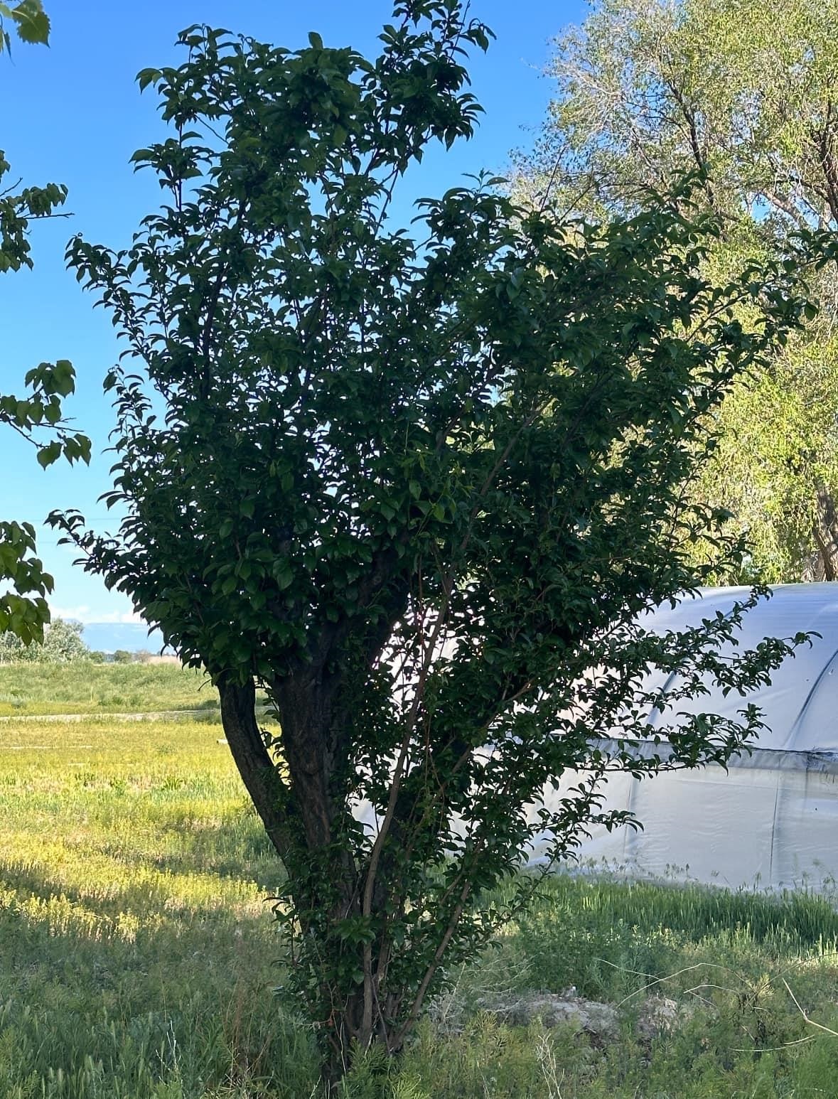 628 S Road Mack, CO 81525 - Photo 21 of 41
